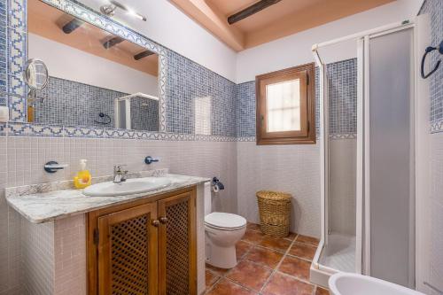 a bathroom with a toilet and a sink and a shower at Las Gallinas Cottage Orgiva in Órgiva