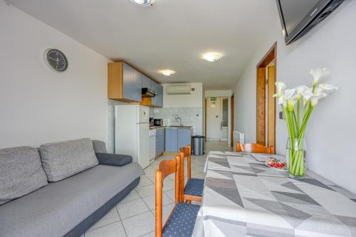 Apartments Saladinka