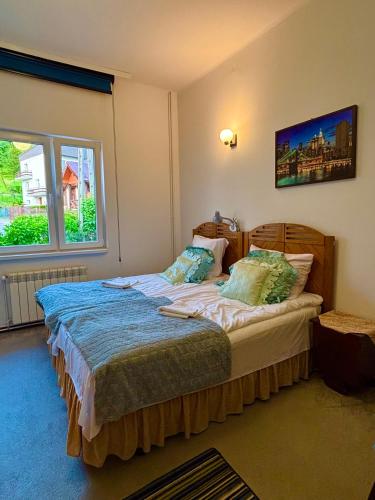 a bedroom with a bed and a window at Milusia Muszyna in Muszyna