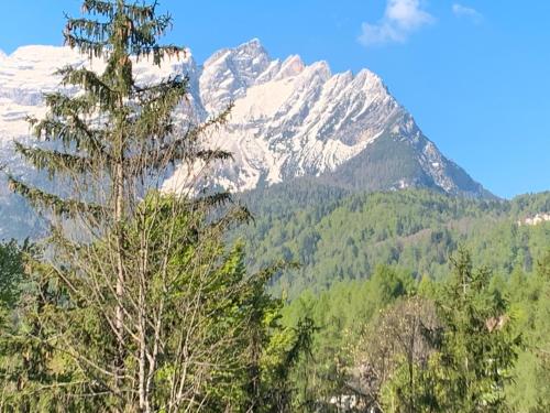 a snow covered mountain in the distance with a tree at Casa Bruna in Forno di Zoldo