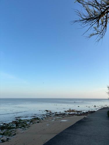 une vue sur l'océan depuis la plage dans l'établissement La petite maison des pins, à Barbâtre