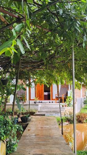 a wooden walkway with trees in a garden at Steps Garden Resort in Negombo