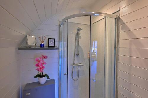 フォート・ウィリアムにあるFinest Retreats - Dalaraban Luxury Pods - Black Grouseの植物のあるバスルーム(シャワーブース付)