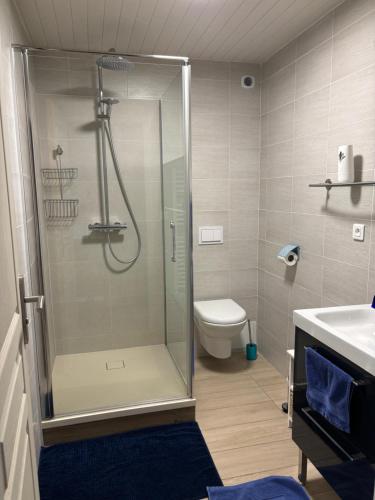 une salle de bain avec une douche, des toilettes et un lavabo dans l'établissement La Grange du Born, à Sainte-Eulalie-en-Born