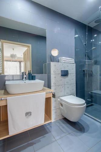a bathroom with a sink and a toilet and a shower at Apartamenty Hallerowo in Władysławowo