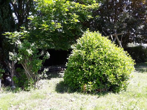 Taman di luar Valérie GOUFFÉ Chambres d'hotes
