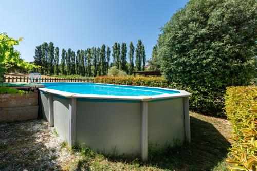 a swimming pool in a yard with a tree at Villino Ruben in Fucecchio