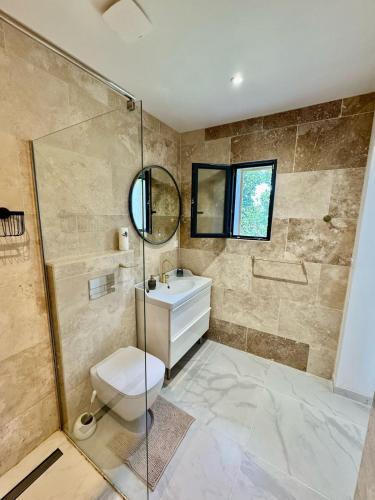 une salle de bain avec une douche, des toilettes et un lavabo dans l'établissement Cozy villa with private pool, à Piolenc