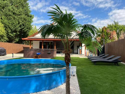 a palm tree next to a pool in a yard at Bonovo Wellness Nyaraló in Gyomaendrőd