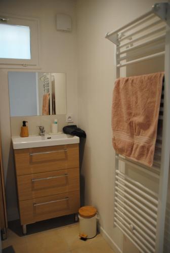 une salle de bain avec un lavabo et un miroir dans l'établissement Le lion d'Or DUO, à Malaucène