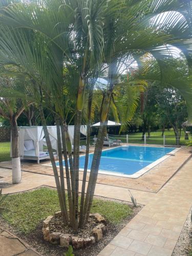 Φωτογραφία από το άλμπουμ του Seb Villa σε Diani Beach