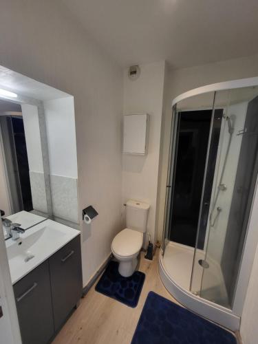 une salle de bain avec toilettes, douche et lavabo dans l'établissement Le Villageois, à Fouesnant