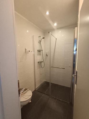 a bathroom with a shower and a toilet at Rest Plus More in Pula