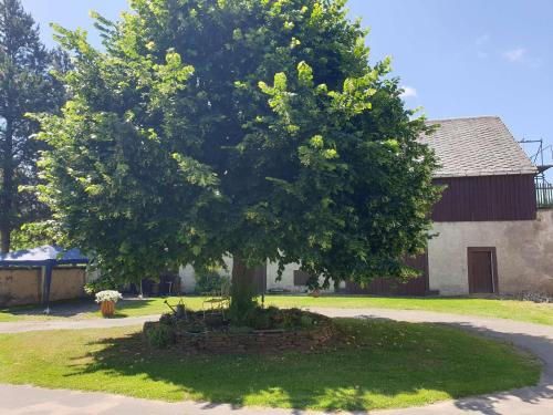 Zahrada ubytování Monteur-Ferienwohnung OT Naundorf