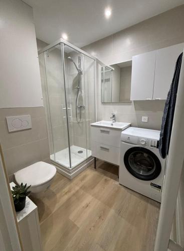 une salle de bain avec douche et machine à laver dans l'établissement Appartement 4 personnes à 500 mètres des plages de sable, à Cannes