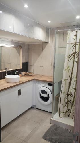 une cuisine avec un évier et une machine à laver dans l'établissement Piscine, 3 chbs, terrasse, vue mer, à Palavas-les-Flots