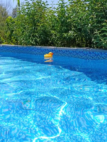 Beautiful nearby beach house with garden, private pool and large yardの敷地内または近くにあるプール