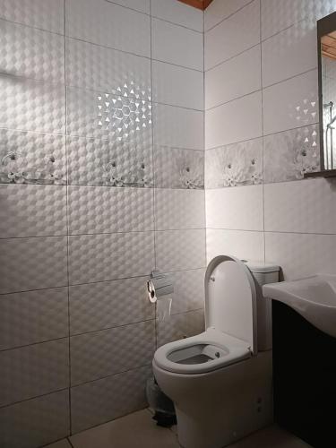 a bathroom with a toilet and a sink at Flora Pansiyon Çıralı in Kemer