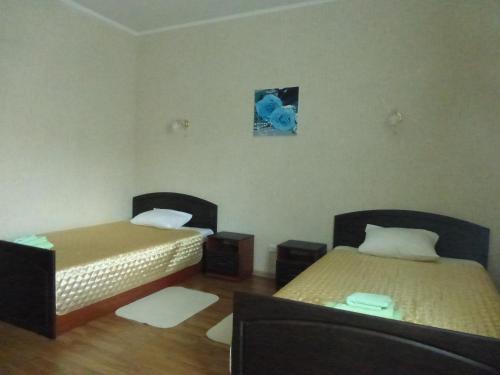 車里雅賓斯克的住宿－Mini-Hotel Nikolskaya，一间客房内配有两张床的房间