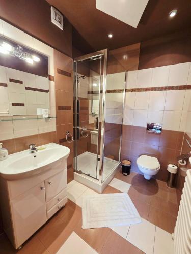 a bathroom with a shower and a sink and a toilet at Tatrzańska Kotwica in Witów