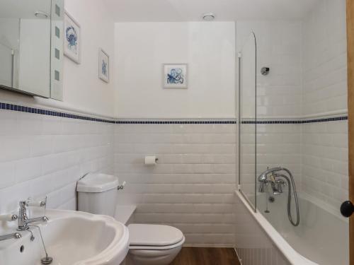 ビデフォードにあるLittleham Court Manorのトイレ、洗面台、シャワー付きのバスルーム