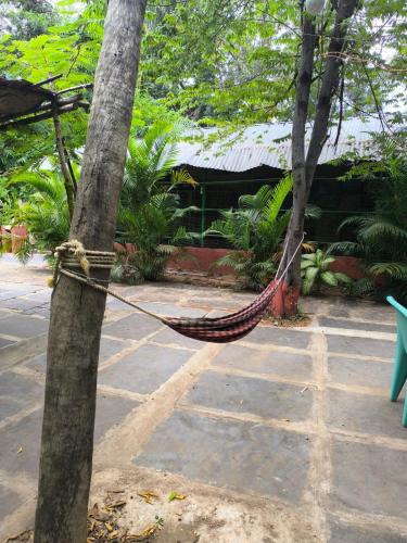 Κήπος έξω από το Gopi Plantation Homestay
