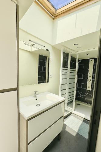 a bathroom with a sink and a mirror at Maisonnette Villeneuve d Ascq in Villeneuve d'Ascq