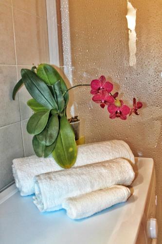 a bathroom counter with towels and a potted plant at La Casetta in Cefalù