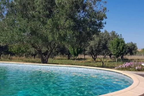 a large pool of water with trees in the background at Domaine Essanya Chalet and bungalows Nature quiet and private pool in Dawwār al Frinine