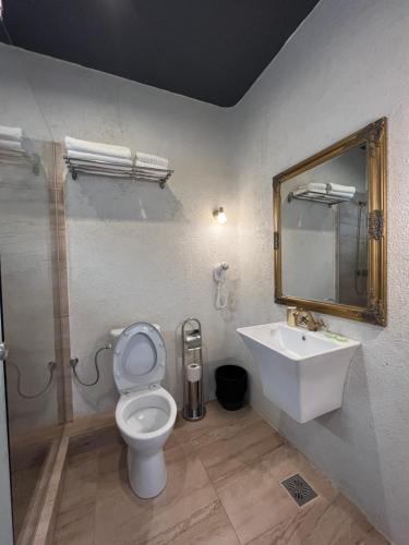 a bathroom with a toilet and a sink and a mirror at Villa Gyos in Costinesti