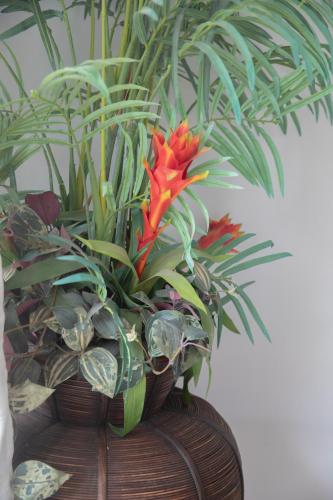 a plant in a vase with a red flower at Elysia Park Apartments in Paphos City