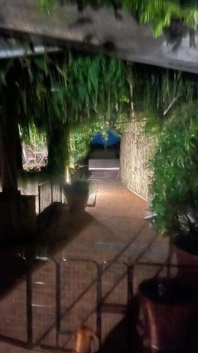 a view of a patio with potted plants at Podere Le Vedute in Larciano