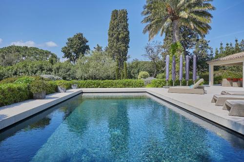 une piscine dans une cour avec un palmier dans l'établissement Villa Fortune, Saint-Tropez, à Saint-Tropez
