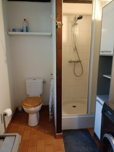 une salle de bain avec toilettes et douche dans l'établissement La Bergerie, à Étretat