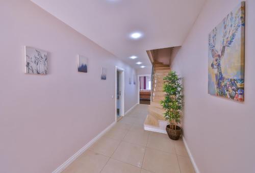 Φωτογραφία από το άλμπουμ του Begonya Suites στο Κας