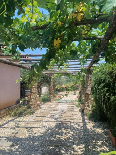 a garden with a stone pathway with a pergola at Dimora Acqua del Fico in Castellabate
