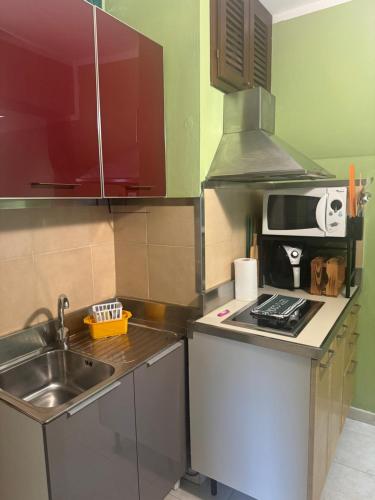 a small kitchen with a sink and a microwave at Agrihome Di Alberto Giuseppe Gulotta B&B Bella Vista Appartamento Salvia in Massarosa
