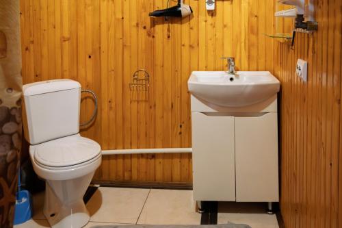 a bathroom with a toilet and a sink at Апартаменти у Яни in Yablunytsya