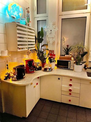 a kitchen with a counter with a microwave and plants at Hotel Tusculum in Marburg an der Lahn