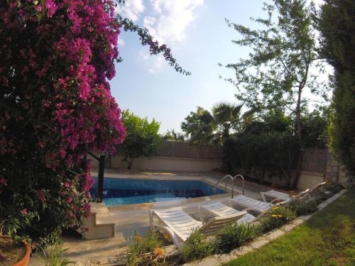 בריכת השחייה שנמצאת ב-Villa Luna By Villa Safiya או באזור