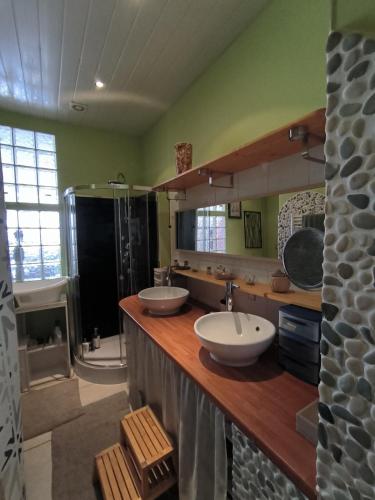 une grande salle de bain avec deux lavabos et une douche dans l'établissement Charmant apartement au coeur de Briançon, à Briançon