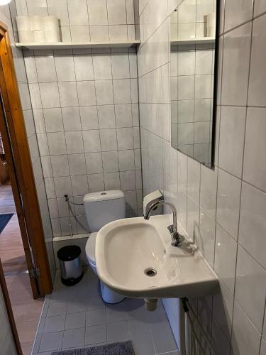 a bathroom with a sink and a toilet at Houten huisje 7 voor Rust, Ruimte en Natuur in Neede