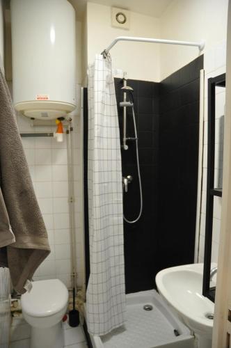 une salle de bain avec une douche, des toilettes et un lavabo dans l'établissement Appartement Buttes Chaumont, à Paris