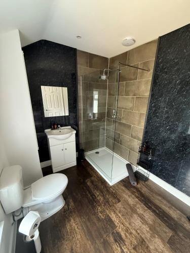 a bathroom with a shower and a toilet and a sink at Room above the Inn in Bristol