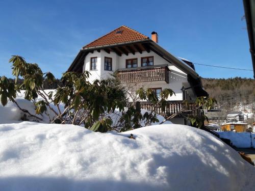 Το Haus Schupp τον χειμώνα