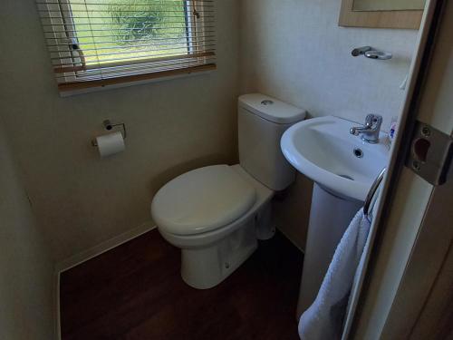 a small bathroom with a toilet and a sink at Emma 6 in Menai Bridge