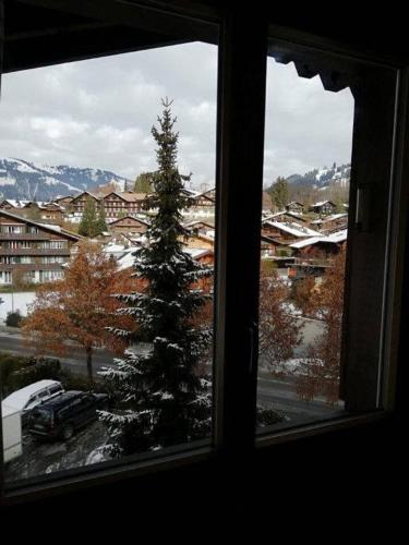 Central Location Cozy 3 BR Flat in Gstaad