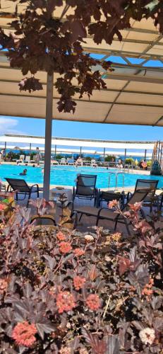 a pool with chairs and an umbrella and flowers at Студия в ЦО Радуга Вест in Koshkolʼ