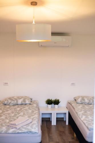 a room with two beds and a table with two plants at Brīvdienu māja Dīķmalas in Indiņi