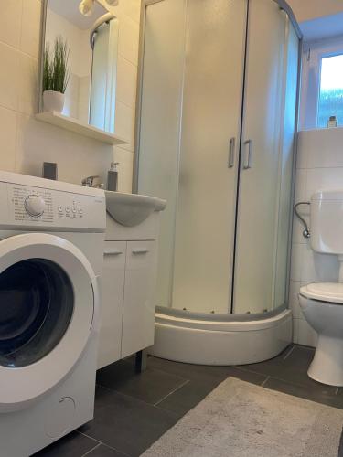 a bathroom with a washing machine and a toilet at Apartments Goldie in Senj